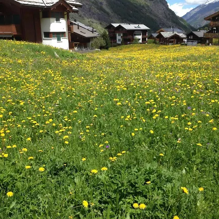 Haus Solvay Mit Freier Matterhornsicht 아파트