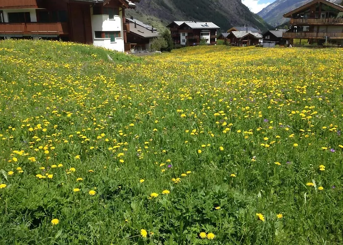 Haus Solvay Mit Freier Matterhornsicht 아파트